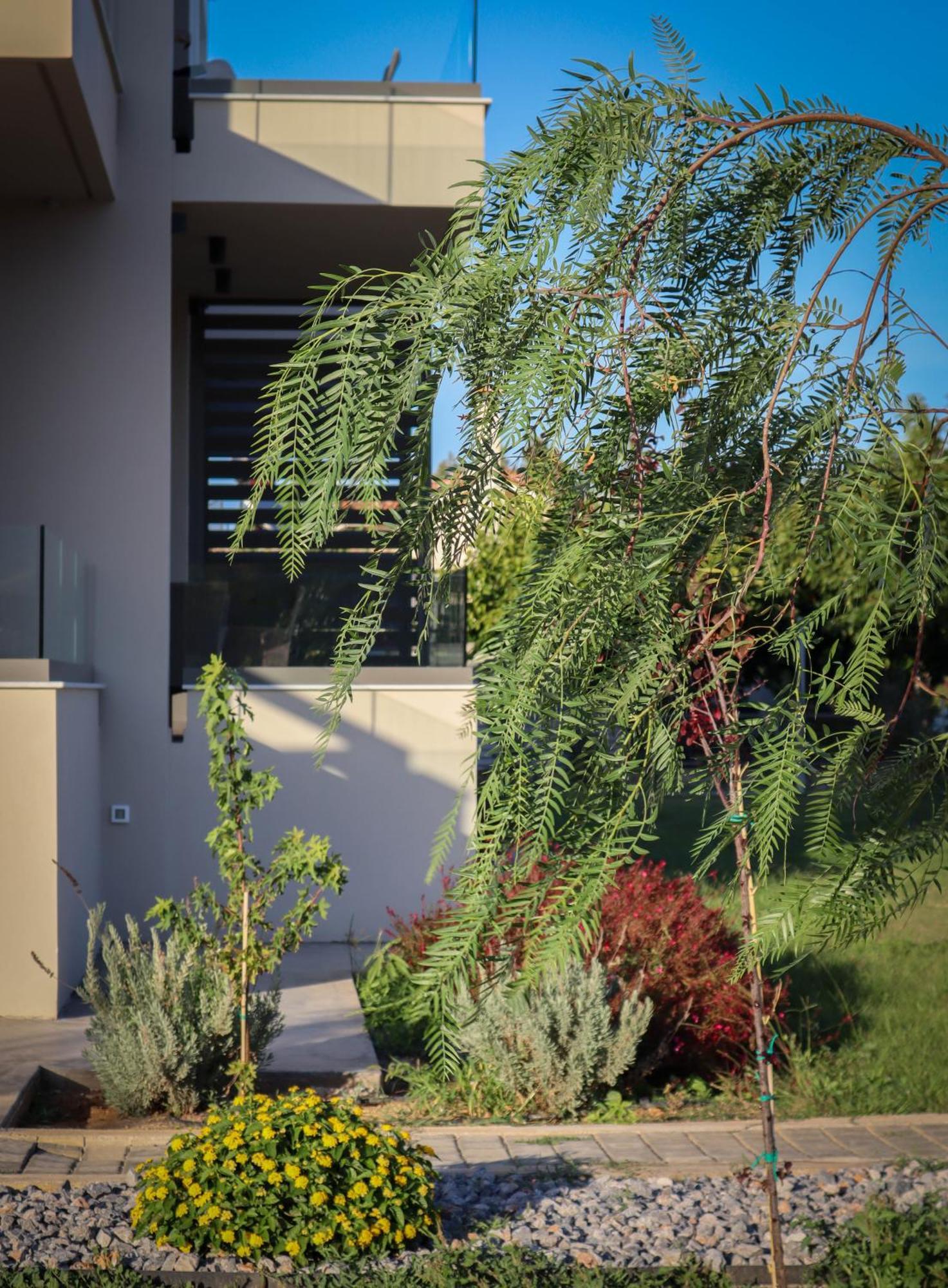 Almyres Luxurious Residences Míloi エクステリア 写真